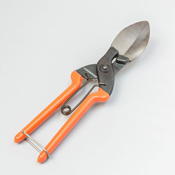 スワダ かぼちゃ鋏 軸切 210mm 収穫用