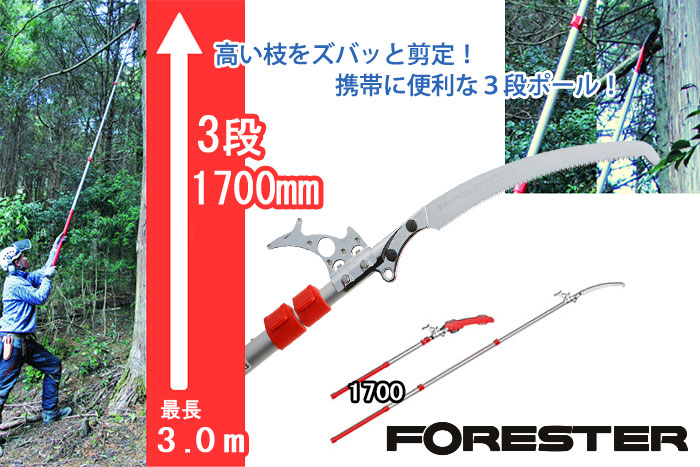 シルキー フォレスター