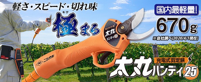 太丸ハンディ25