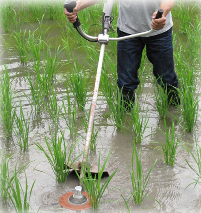 水草カッター使用例１