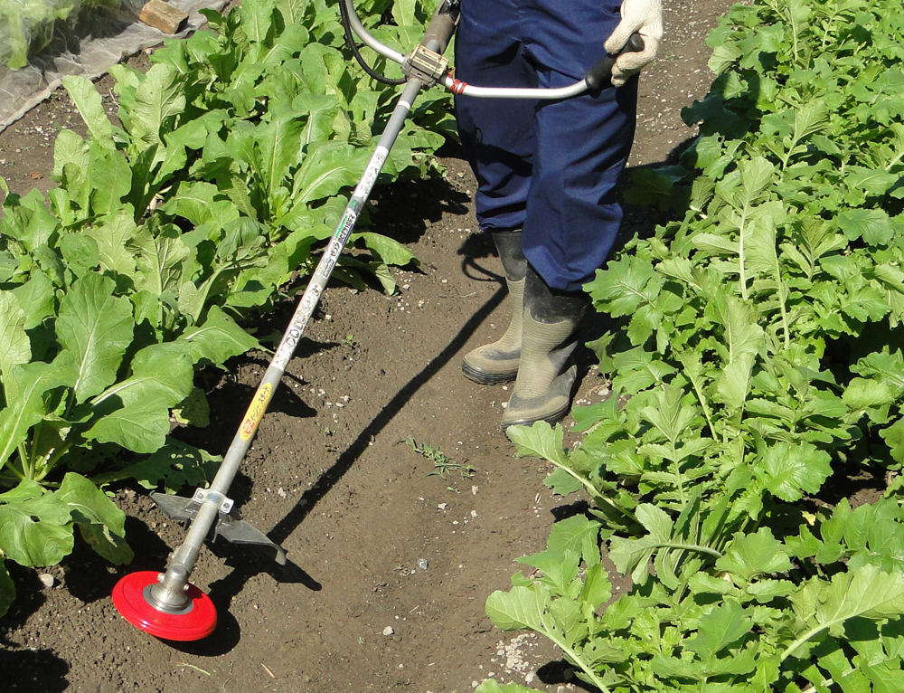 畑のシェーバー使用例