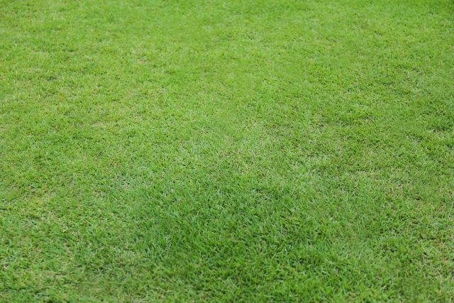 芝生・草刈り