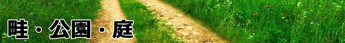 草刈用チップソー