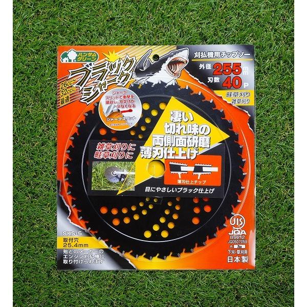 ブラックシャーク