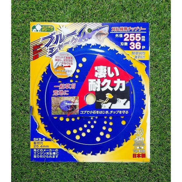 ブルーシャーク