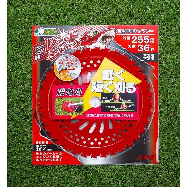 レッドシャーク