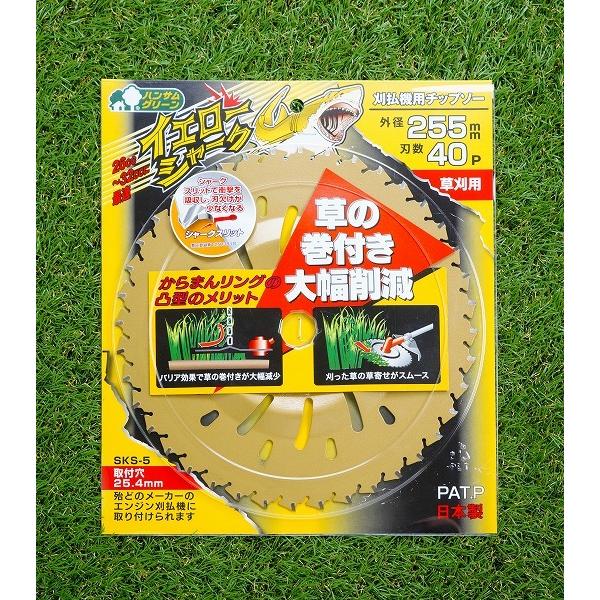 イエローシャーク