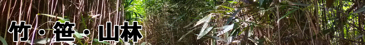 山林用チップソー