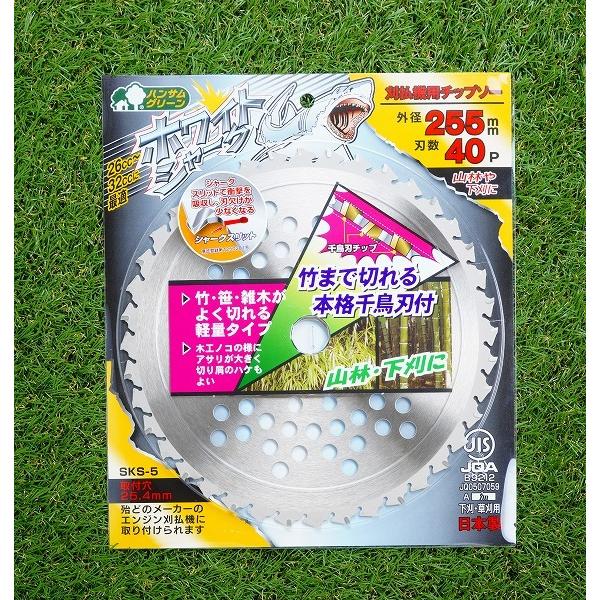 ホワイトシャーク