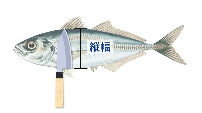 出刃包丁の選び方