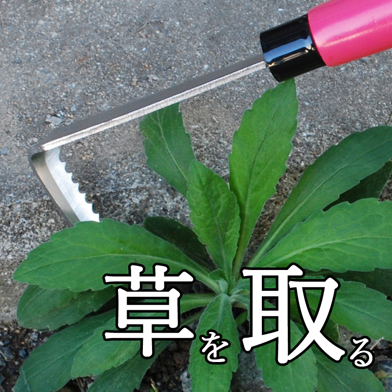 草を取る