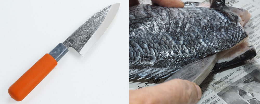 V金10号小出刃包丁