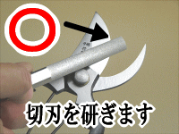 剪定鋏の研ぎ方のOK例