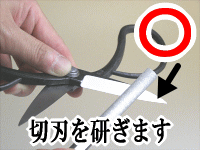 植木鋏の研ぎ方のOK例