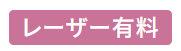 レーザー名入有料