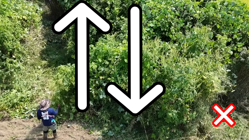 ジャングル状態の場所を刈る