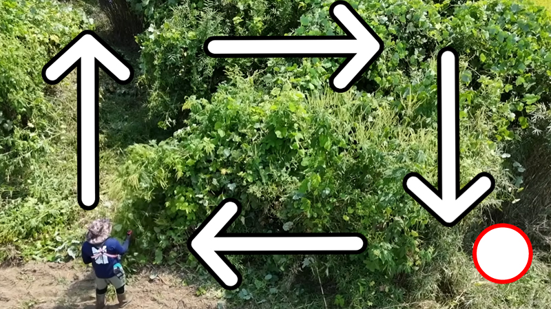 ジャングル状態の場所を刈る