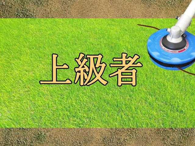 上級者向け