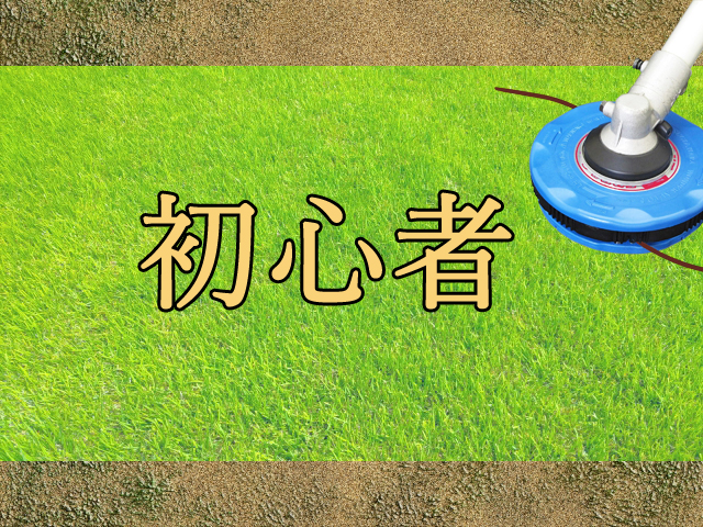 初心者向け