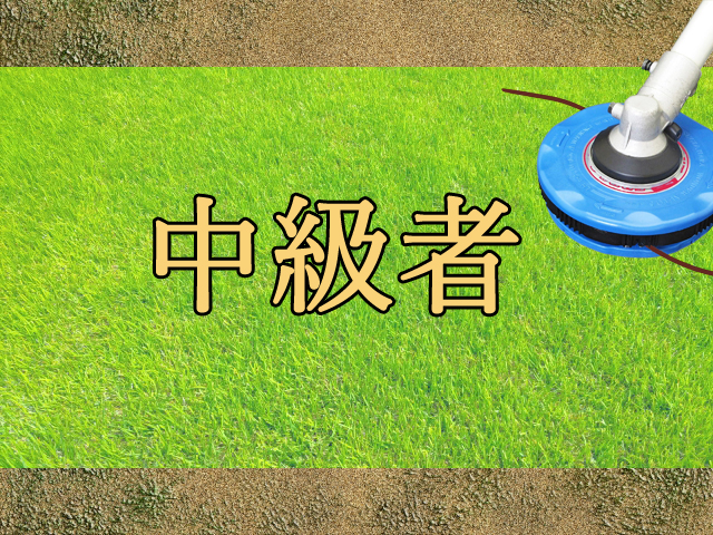中級者向け