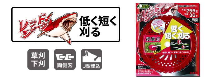 レッドシャーク