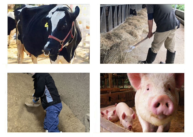 畜産専用スコップ