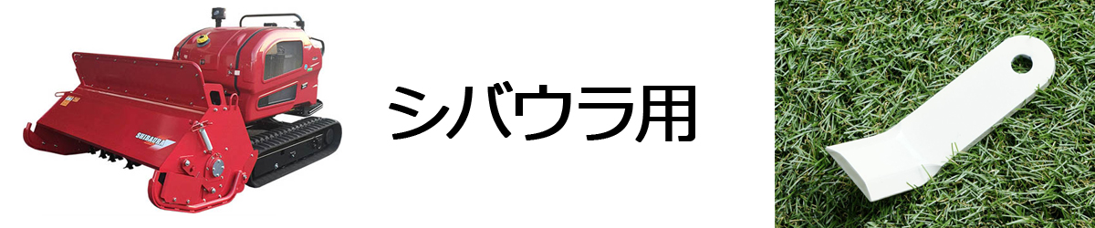 シバウラ