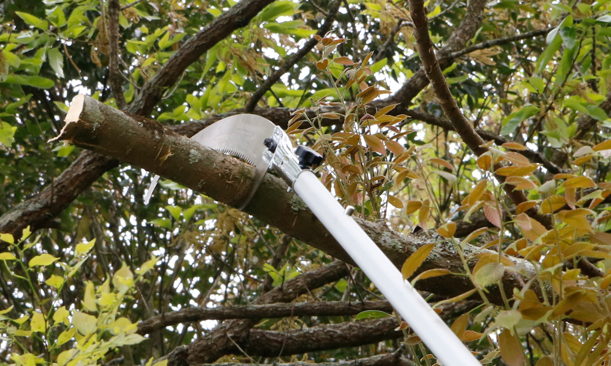 シルキー 鋸 鋸刃