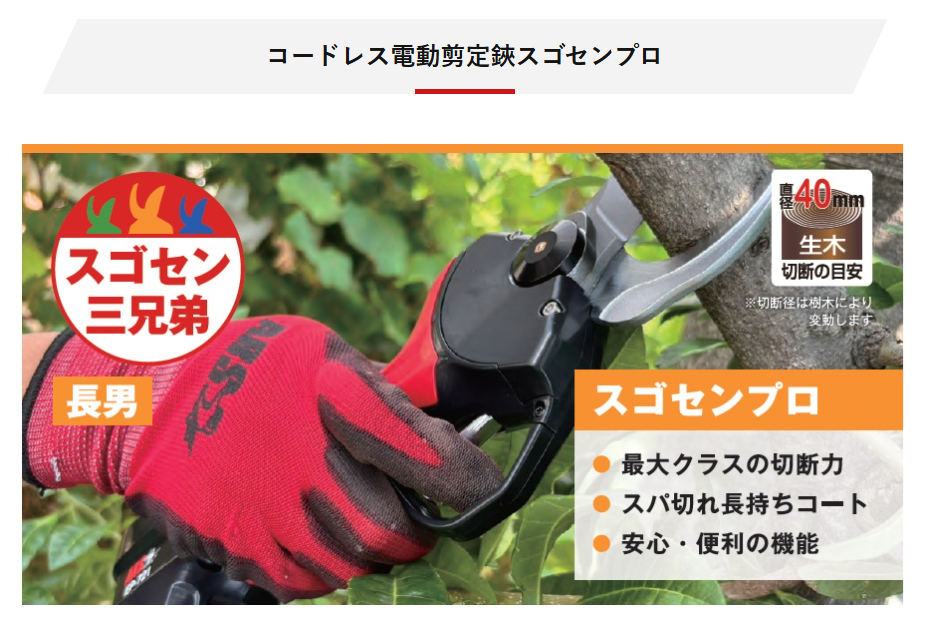 スゴセンプロ説明1