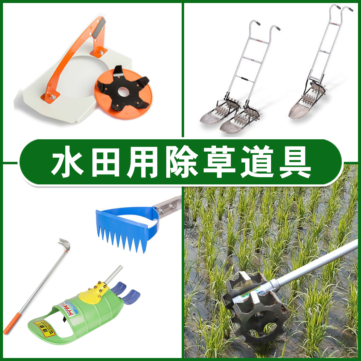 水田 除草