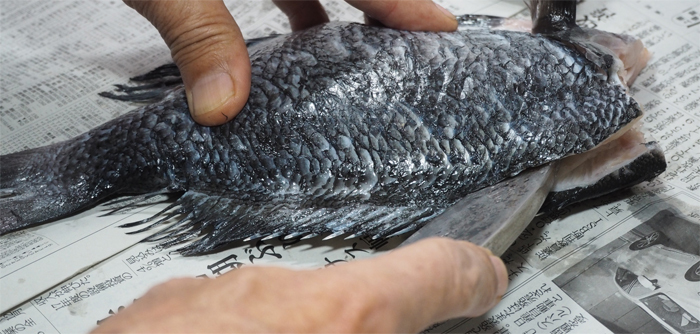 魚を捌いている写真