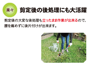剪定後の処理も簡単