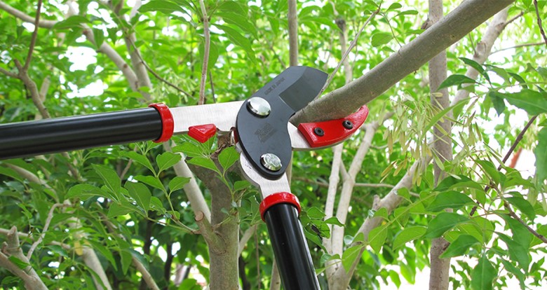 ザクト 太枝切鋏