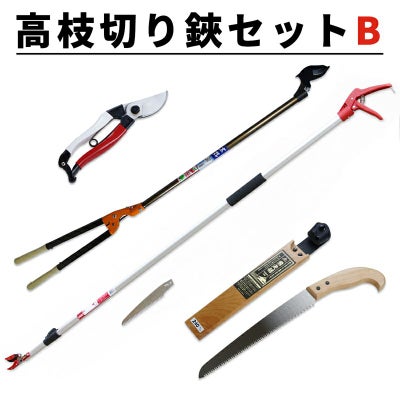 高枝切り鋏 Bセット 基本4点セット 高枝切鋏 太枝切鋏 剪定用鋸 剪定鋏