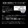 東周作 柳刃包丁 270mm 青紙2号鋼