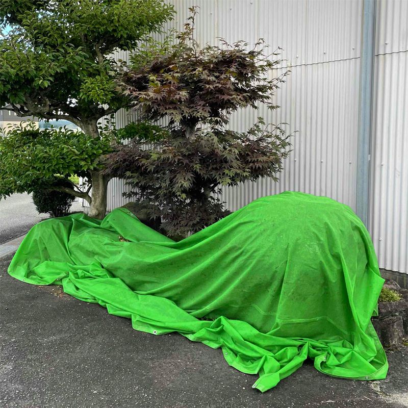 新型 刈込み 養生シート PP 平織り 1.8ｍ×2.7m 3枚組 使用例