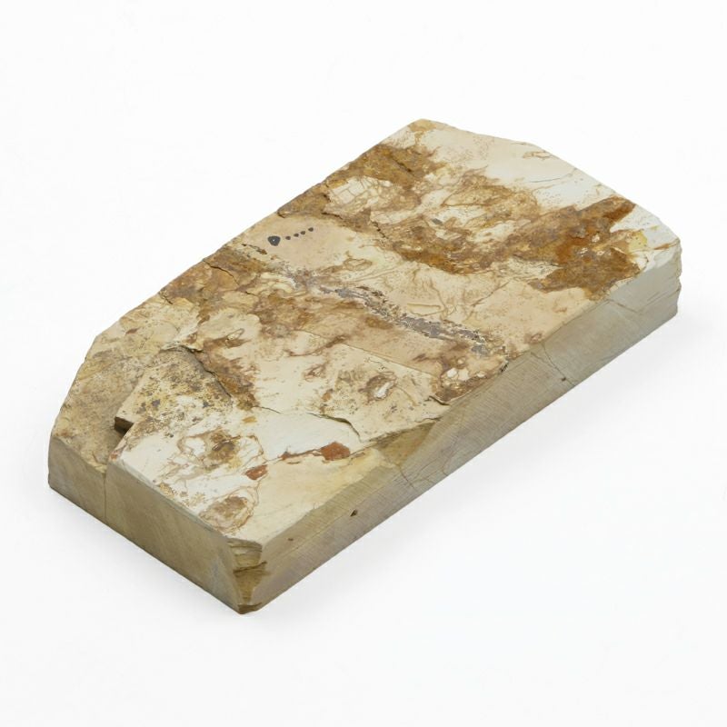 京都 天然砥石 奥殿 巣板7 裏