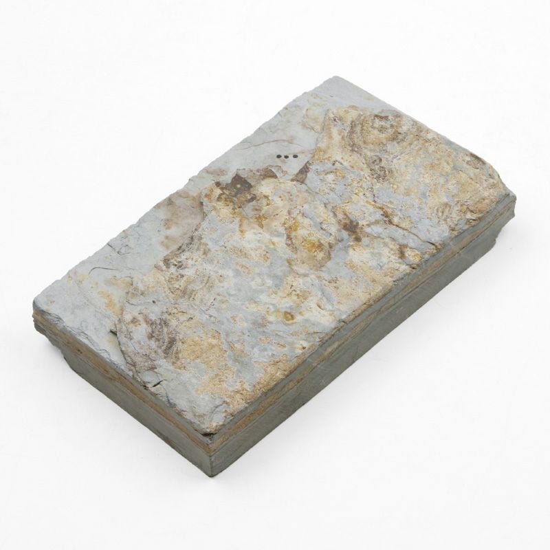 京都 天然砥石 菖蒲谷 蓮華 内曇2 仕上げ砥石 裏