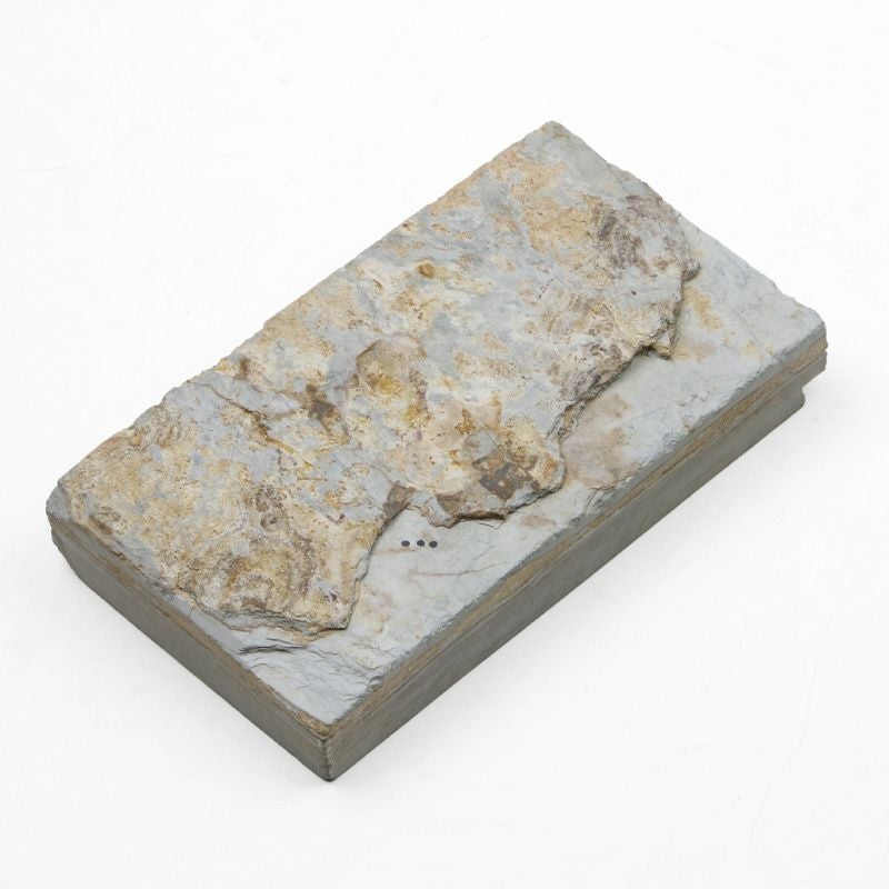 京都 天然砥石 菖蒲谷 蓮華 内曇2 仕上げ砥石 裏